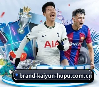开云体育 APP(KAIYUN)